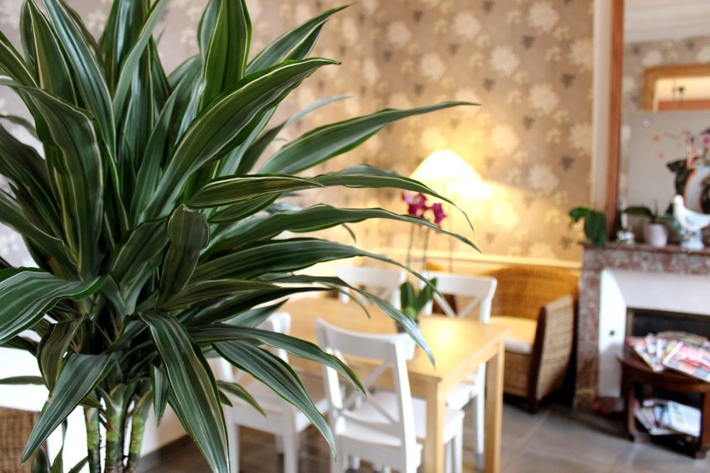 Hotel Les Aubepines Illiers-Combray Bagian luar foto